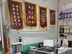 -利又安动物医院··老年病·猫科犬科·中兽医