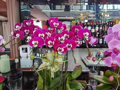 -名典餐厅(铁西立安花园店)