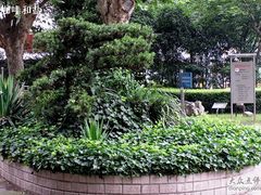 -华山儿童公园