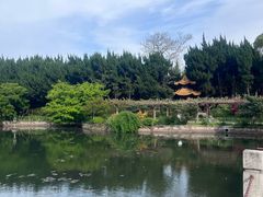 -嘉定紫藤园