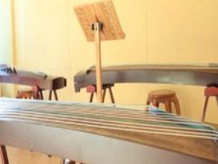 -音歆国艺馆·民乐培训(双榆树店)