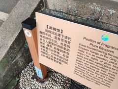-香雪海