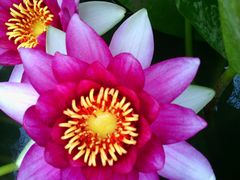 android_upload_pic-祥源·阜阳生态乐园