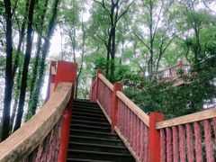 -南山植物园