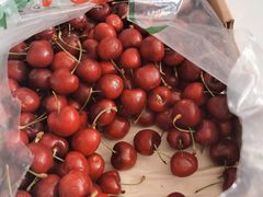 -78线水果批发市场精品厅五号