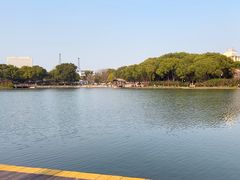 -圩墩遗址公园