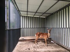 -洪湖家庭农场·团建·露营·会议