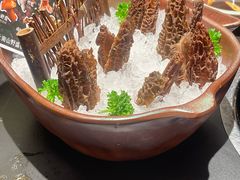 -季季山·云南野生菌火锅(上海首店)