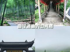 -中国大竹海景区