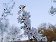 -相门城墙文化休闲景区