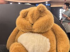 -东北范·金牌肘子·杀猪菜(美乐城店)