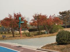 -太阳宫公园