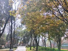 -枫桥景区