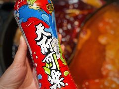 -大虎重庆老火锅(正弘城店)