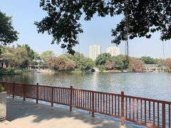 -西关竹园(荔枝湾店)