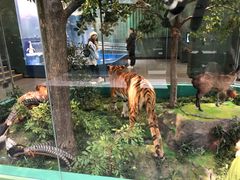 -国家自然博物馆