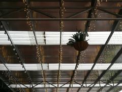 -南海鸽天下(肇庆店)