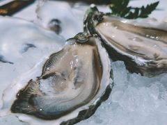 吉拉多二号-福楼法餐厅FLO