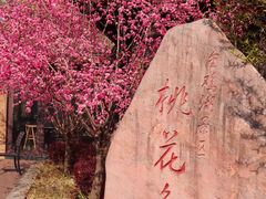 -金鸡湖桃花岛