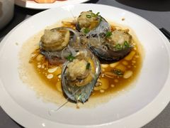 葱油中鲍鱼-徐记海鲜(大明宫|北二环店)