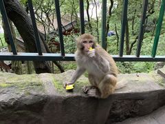 -黔灵山公园