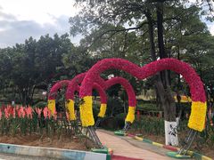 -松山湖梦幻百花洲