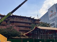 -越秀西湖花市(广州城市广场花卉店)