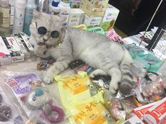 -吴山路夜市