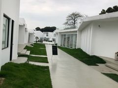 -龙坞茶村