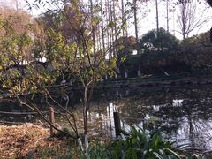 -瀛洲公园