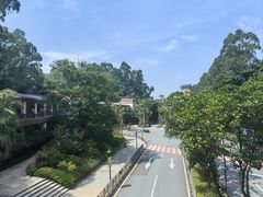 -麒麟中餐厅·经典粤菜·地道菜式老字号(广州长隆酒店)