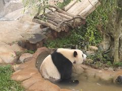 -海南热带野生动植物园