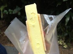 -詹爷爷乌节路街头冰淇淋