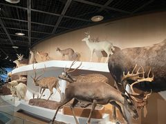 -陕西自然博物馆