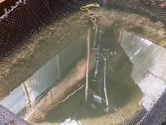 -蓝湾碧波·老字号·疍家非遗海上餐厅