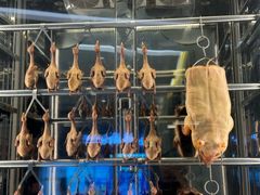 -谭厨中山传家菜.乳鸽.脆鲩鱼(华强北中航城店)