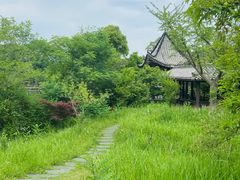 -黄陂区野村谷景区