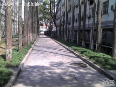 -上海科学技术职业学院