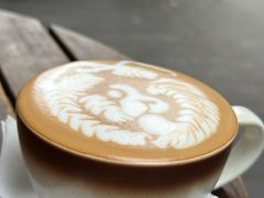 -infinite cafe