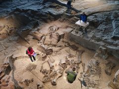 -自贡恐龙博物馆