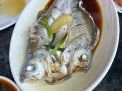 钱湖四宝（朋鱼）-晓琦农家菜馆·地道农家菜
