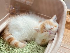 -狗道宠物(常熟印象城店)