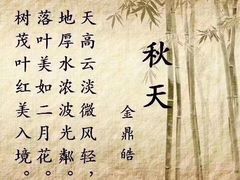 -童学馆亦庄馆(天宝中街店)