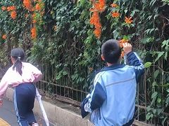 -狐尾山公园