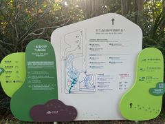 -福田红树林生态公园