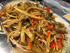 鲜河蚌干锅-壹盏灯(惠农店)