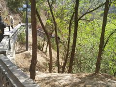 -延安杨家岭革命旧址