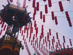 -厦门方特梦幻王国