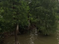 -海珠湖公园