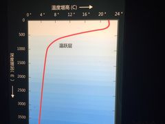 -同济大学四平路校区深海探索馆